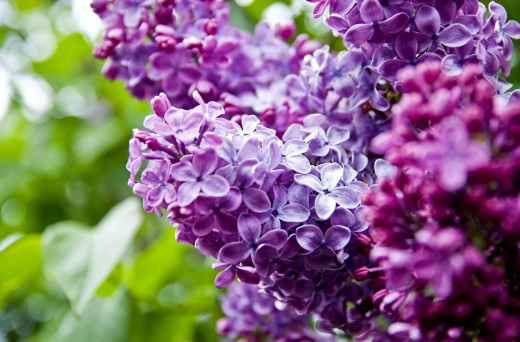 424605 (a): :1600x1050